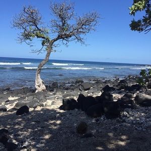 Meet your Posher, Honoree